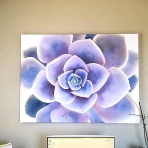 Stunning Hand Drawn 30x40 Custom Purple Succulent Canvas Print